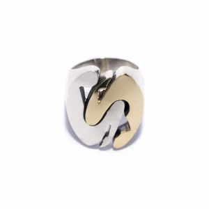Anello Noi