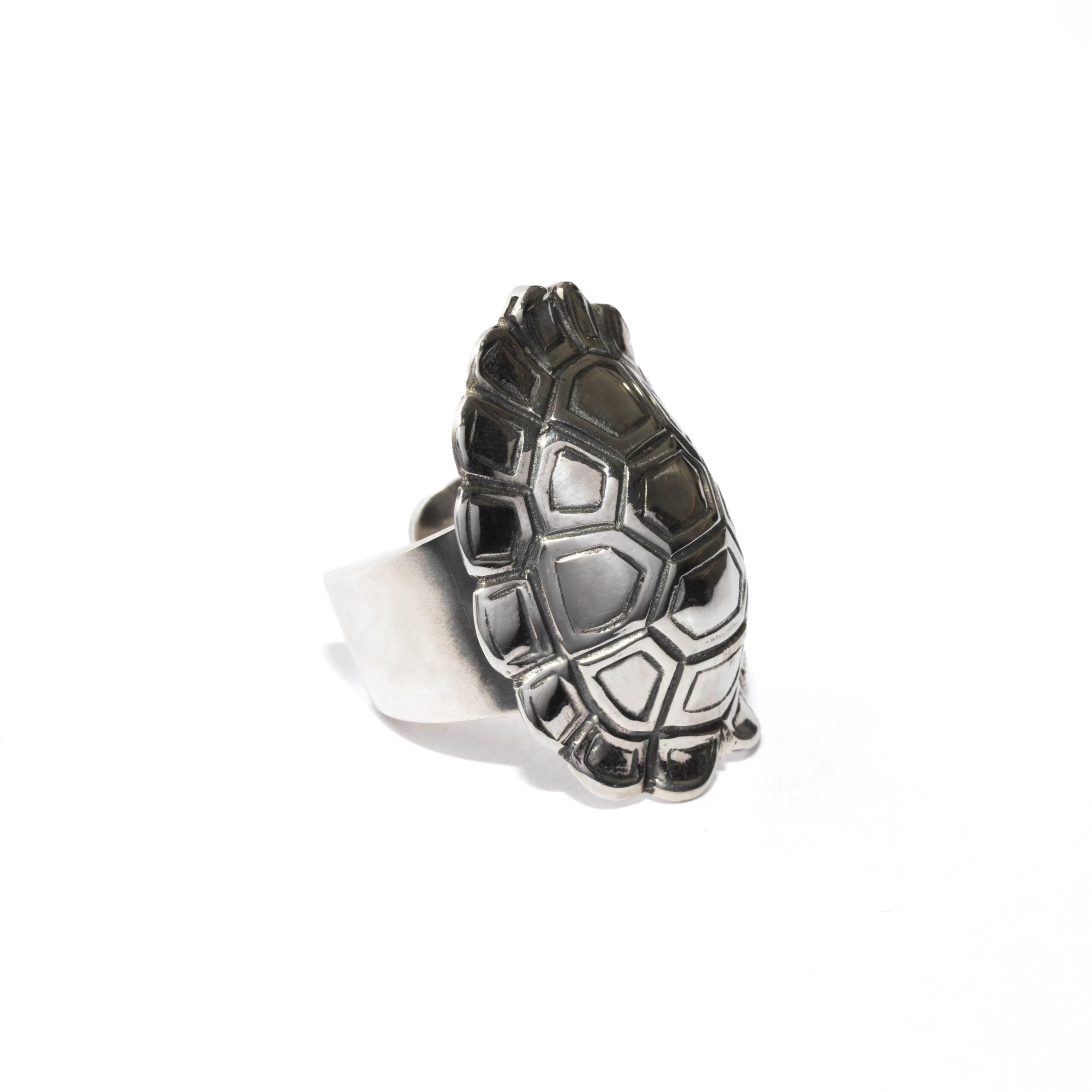 Anello tartaruga