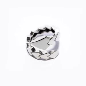 Anello Serpente