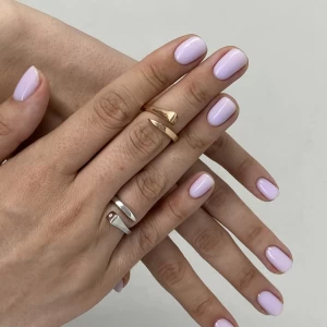 Anello Chiodi