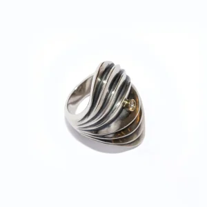 Anello Blob